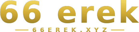 66 erek logo